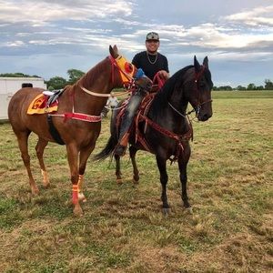 Meet your Posher, Johnny